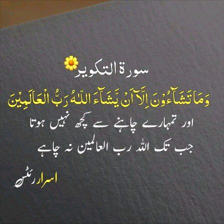 Islamic Quotes image