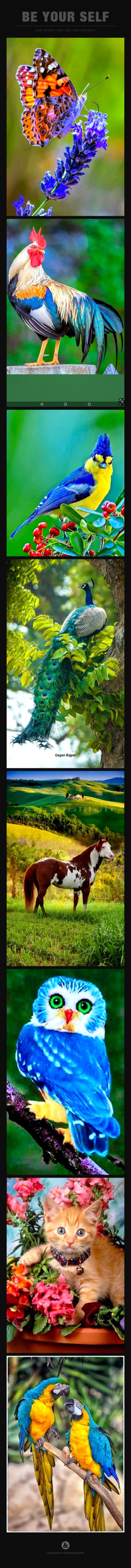 Beautiful Nature image