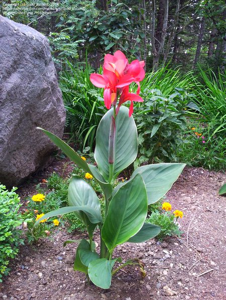 Beautiful Nature image