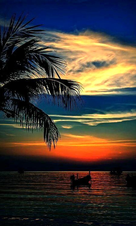 Beautiful Nature image