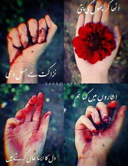 Nice lines😑😑😑
