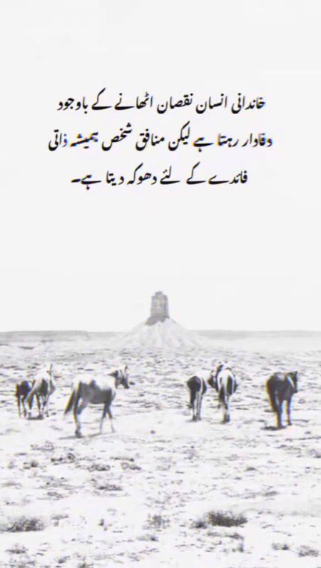 Kia khub or SuChi bt kah gy hen