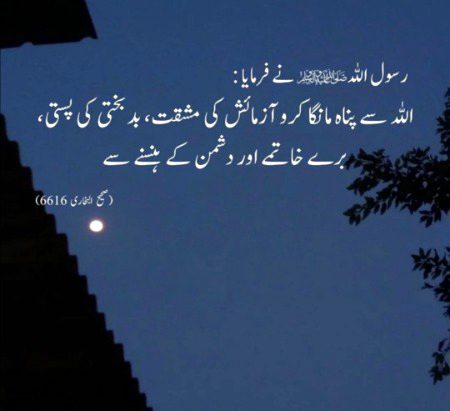 Islamic Quotes image