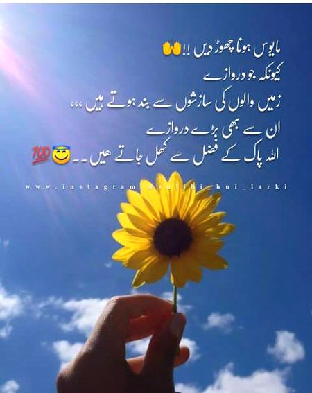 Islamic Quotes image
