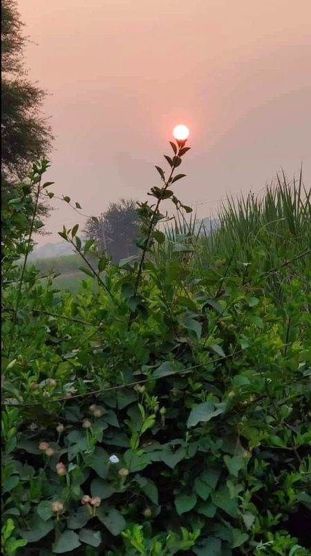 Beautiful Nature image