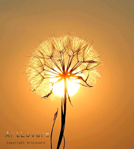 Beautiful Nature image
