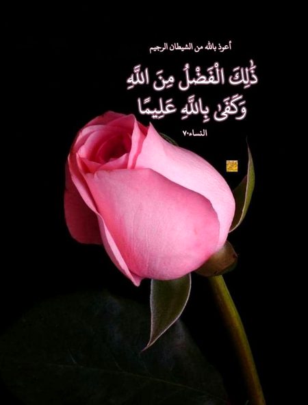 Islamic Quotes image