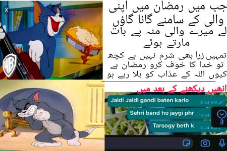 Memes & Satire image