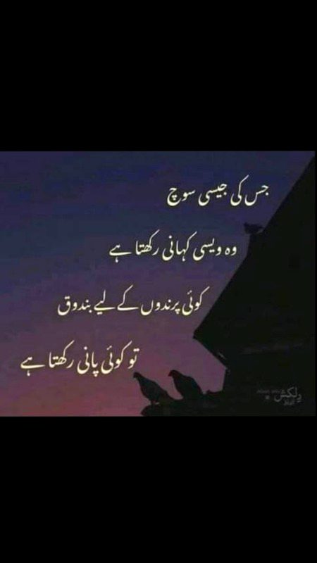 Favourite lines ⚡⚡