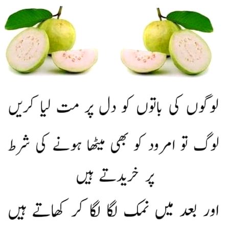 RIGHT 🌹🍀🌹🍀