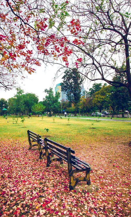 *تم میرے ہو ہی نہیں__❤️🩹🥺*
*اور میں تمہیں کھونے کے غم میں مبتلا ہوں💔😭*