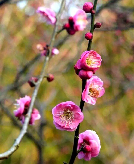 Beautiful Nature image