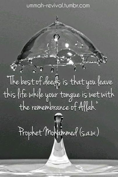 Islamic Quotes image