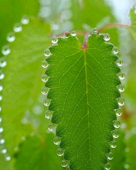 Beautiful Nature image