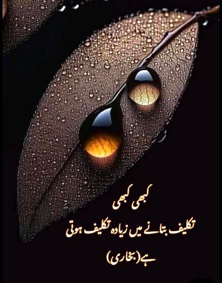 🌹 merijan-16 🌹
Bilkul ab irada kro na btao