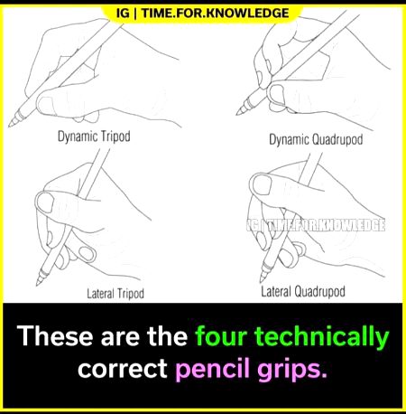 Kisi ko drawing seekhni hy free men? Coment kary HANZALAN+