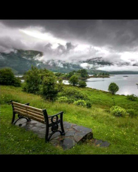 Beautiful Nature image