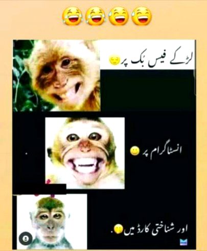 Memes & Satire image