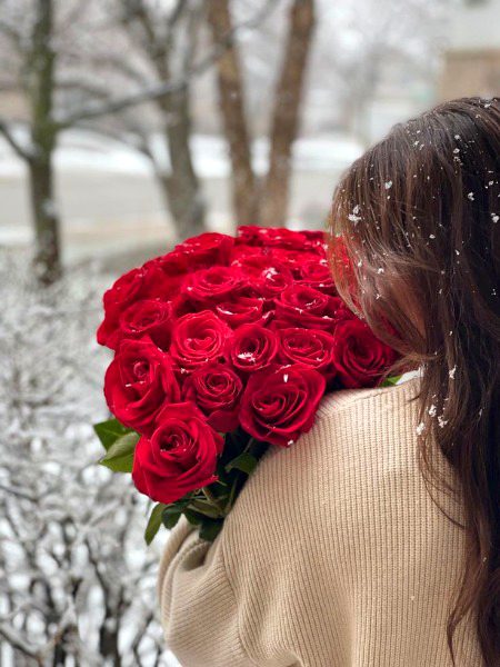 Beautiful Nature image