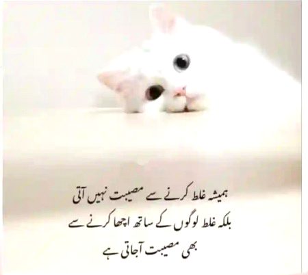 Hmmm kbi kbi asa b hota ha ye tu acha ni hota