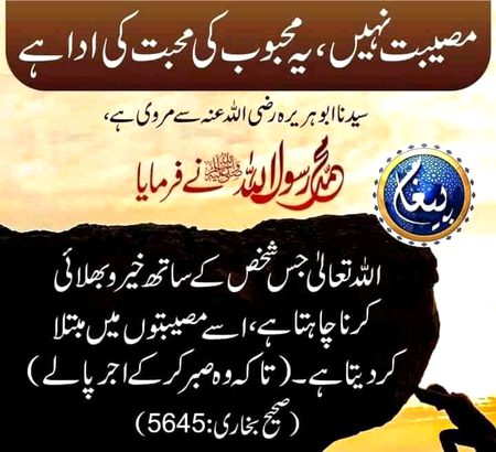 Islamic Quotes image