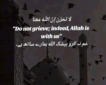 .q1 Everyone