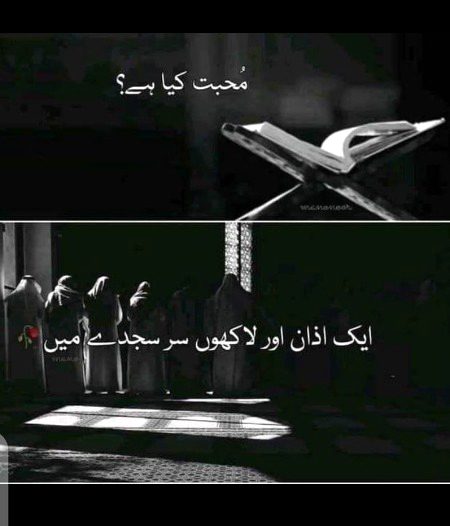 Islamic Quotes image