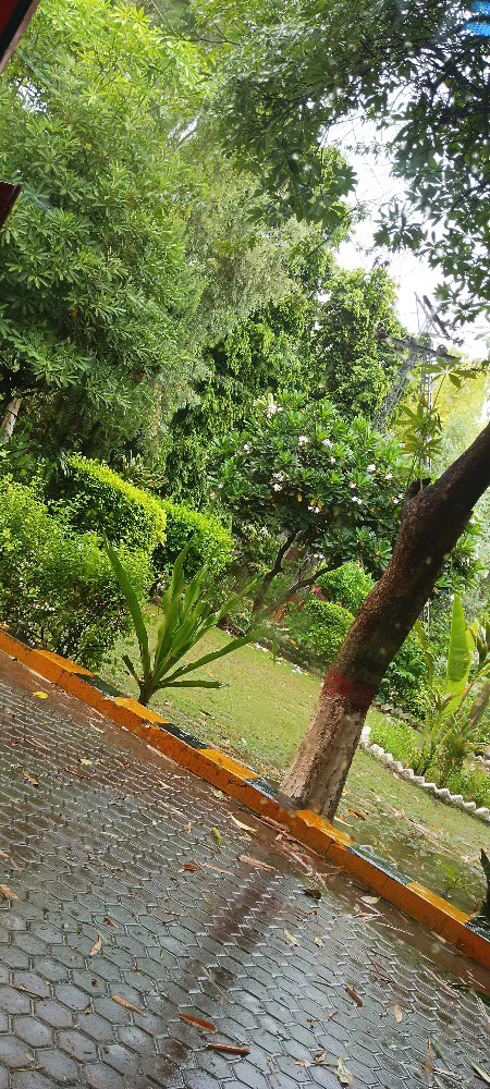 بند کھڑکی کے صاف شیشوں پر عکس تیرا بنا گئی بارش 🍂