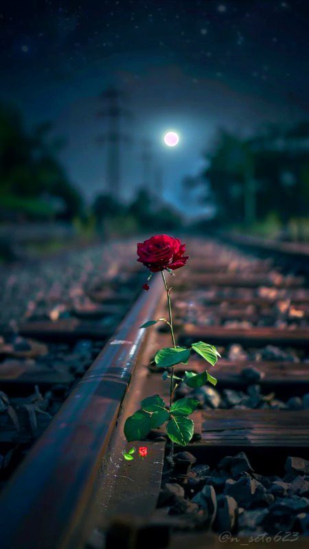 Beautiful Nature image