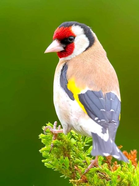 Beautiful Nature image