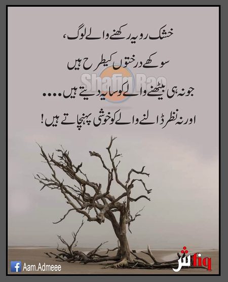 اسلام وعلیکم
صبح بخیر