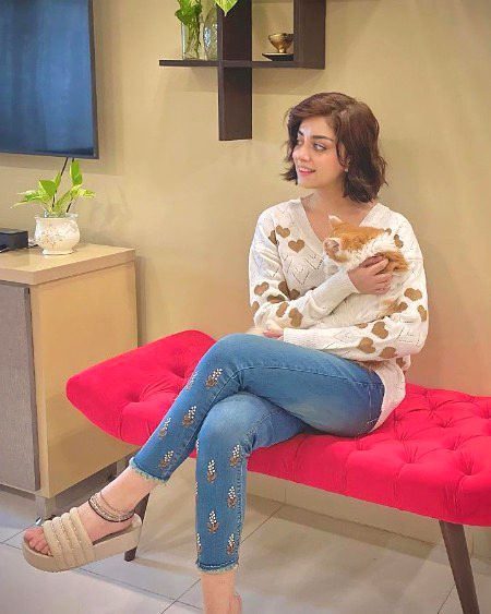 Pakistani Celebs image