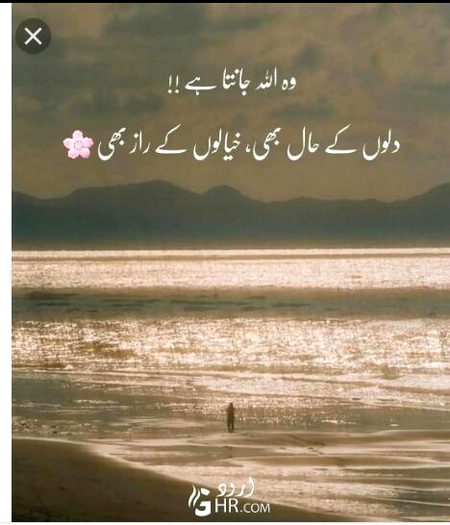 Islamic Quotes image