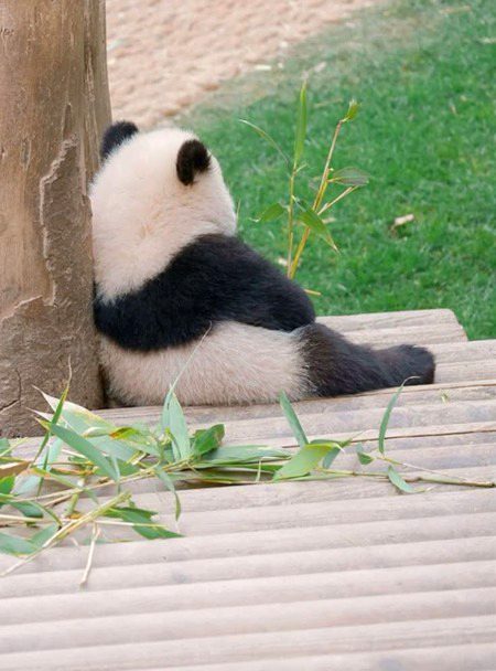 Tired of Everything...🥀🙃🫠