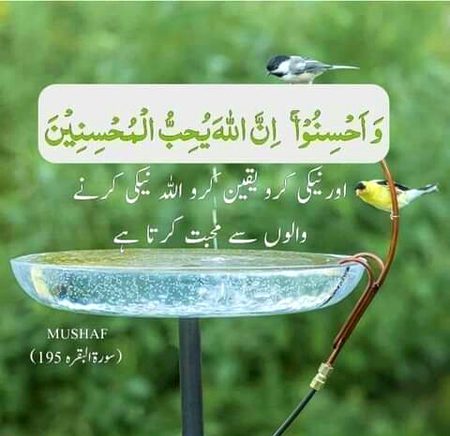 بیشک 🌹🍀🌹🍀🌹🍀