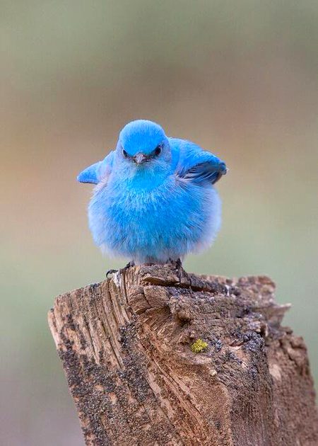 Beautiful Nature image