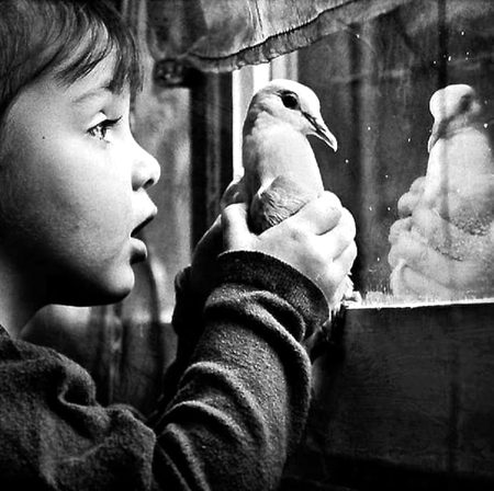 Beautiful People image