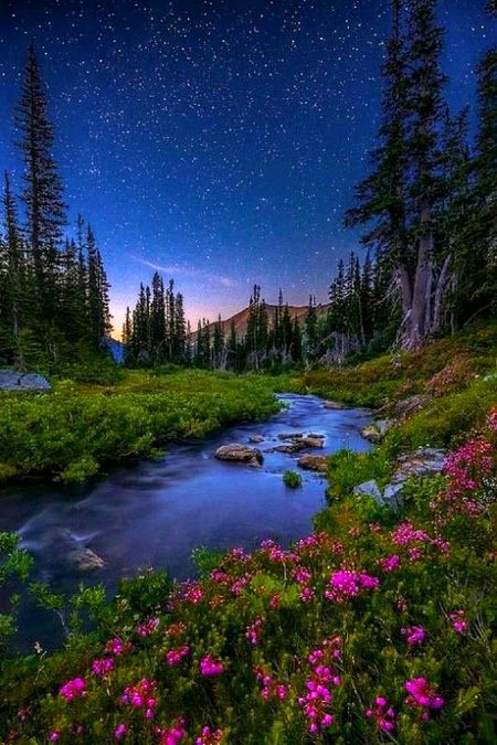 Beautiful Nature image