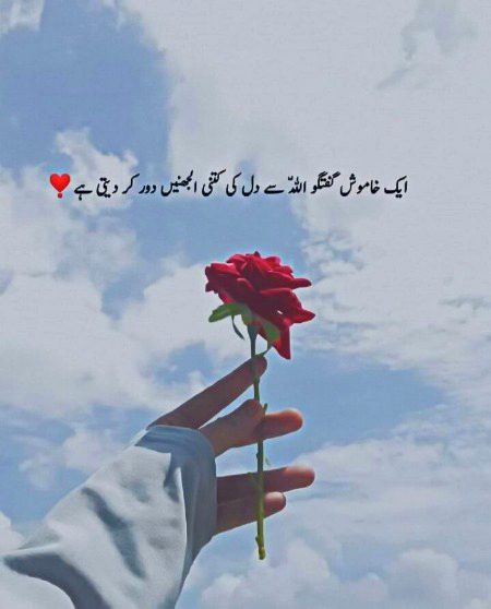 Islamic Quotes image