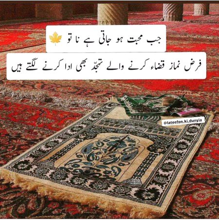 Islamic Quotes image