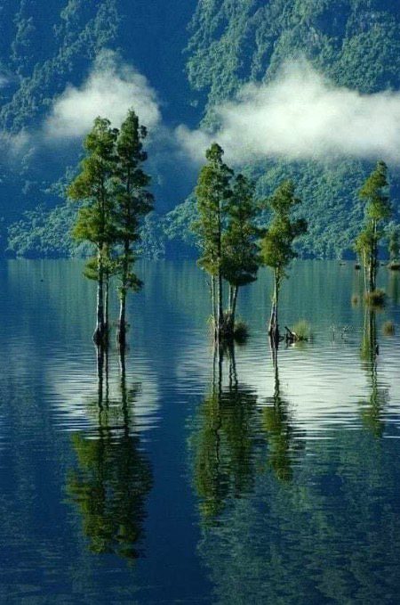 Beautiful Nature image