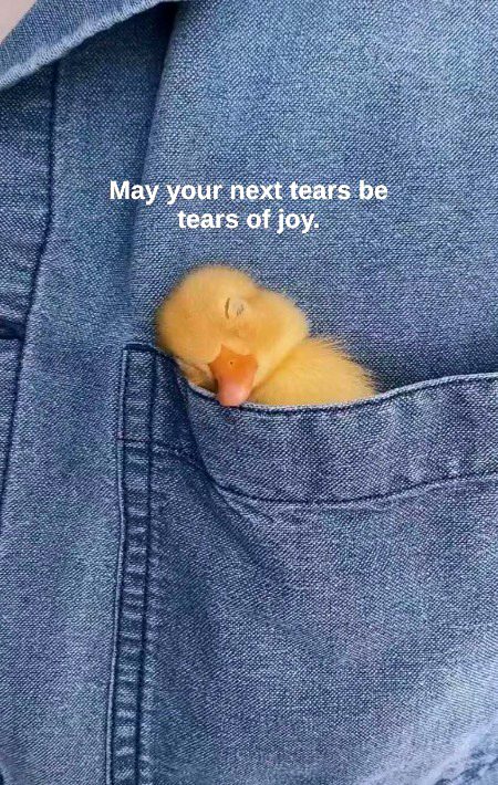 Me sleeping peacefully jabky ghr valay kutya bilya kr k larhy hon tab b...