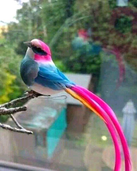 Beautiful Nature image