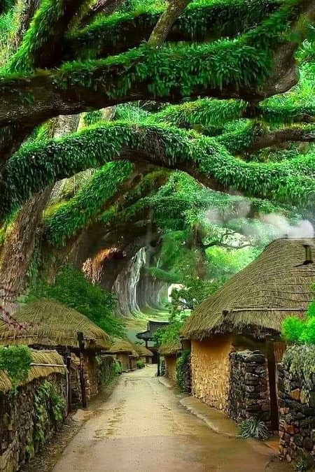 Beautiful Nature image