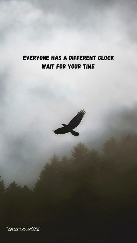 Motivational Quotes image