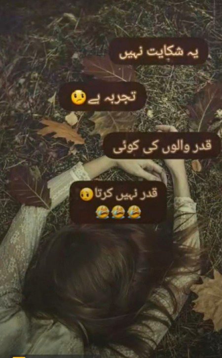 Bay qadar duniya