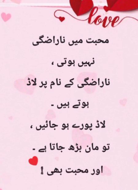 🌷Sachi Maan bharr jata hai 👌🌹