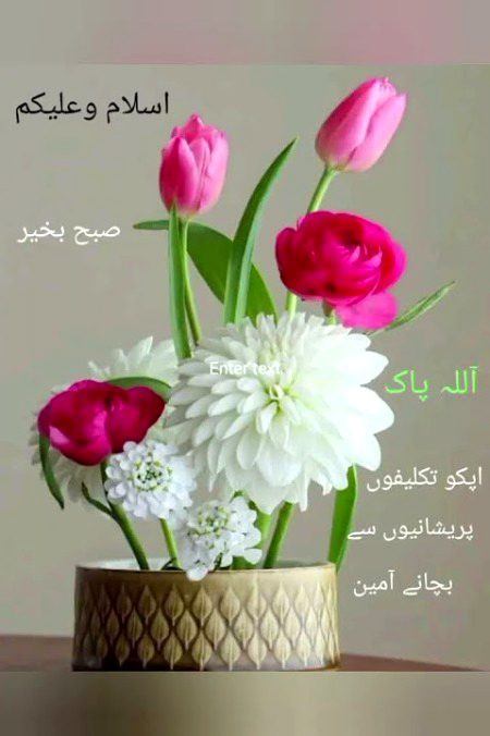 السلام عليكم ورحمة الله وبركاته صباح الخير 💞