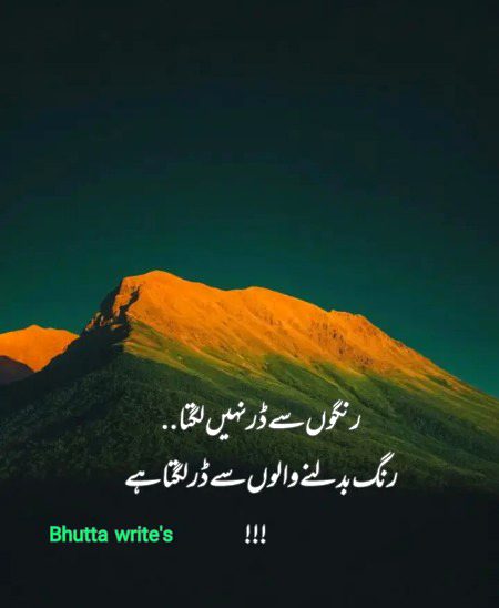 Memes & Satire image