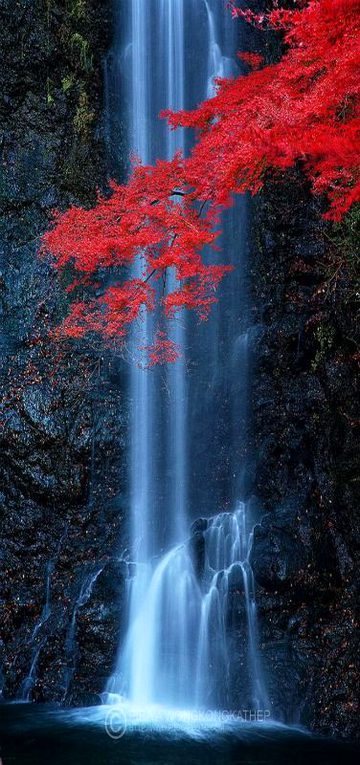 Beautiful Nature image